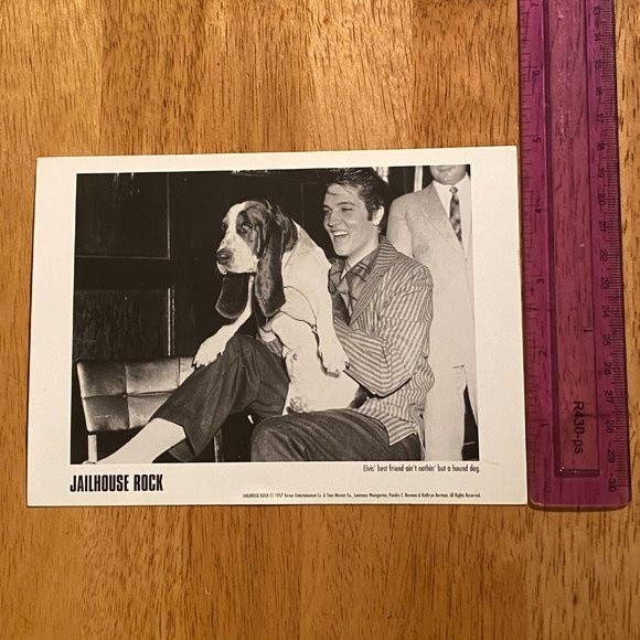 Jailhouse Rock Elvis' best friend ain't nothin' but a hound dog - Picture 4 of 5